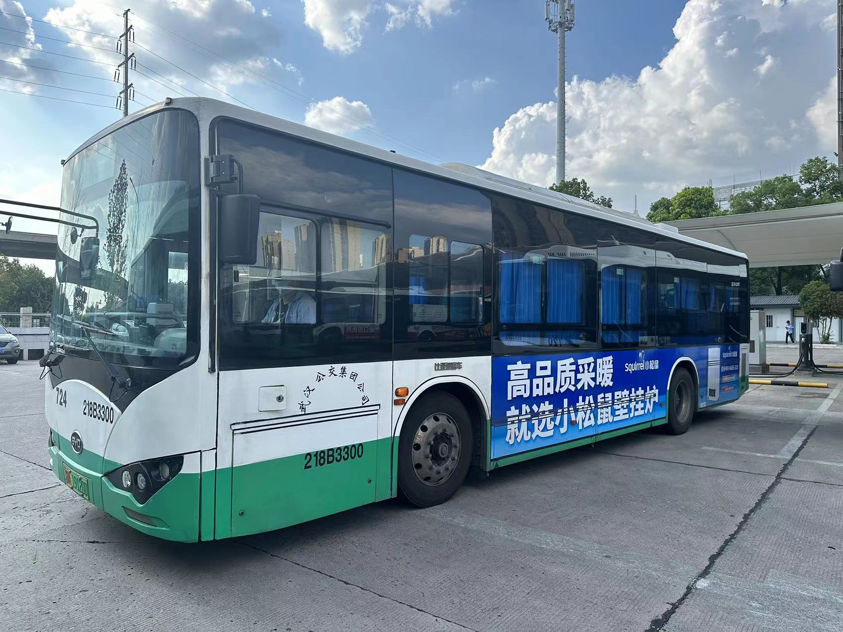 壁掛爐十大品牌 壁掛爐十大品牌